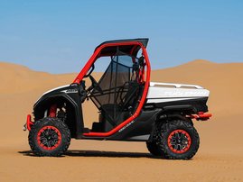 Segway-Fugleman-UT10 ym2022 act 005
