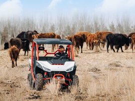 Segway-Fugleman-UT10 ym2022 act 007